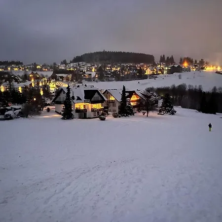 Bear Am Skihang Winterberg