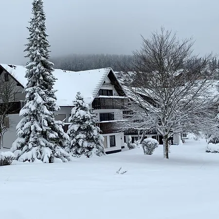 Bear Am Skihang Daire