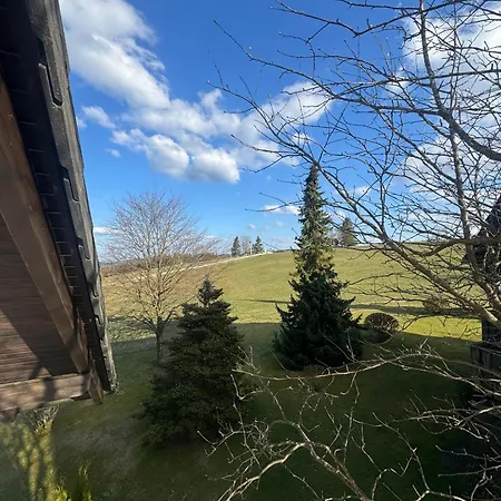 Bear Am Skihang شقة وينتربرغ