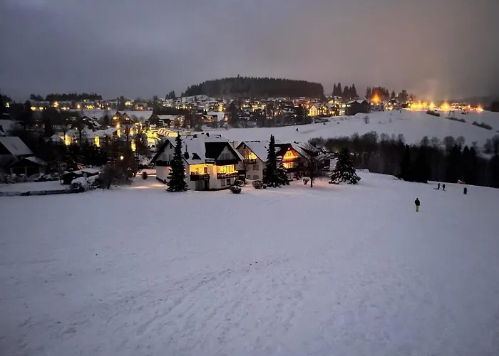 Bear Am Skihang Winterberg