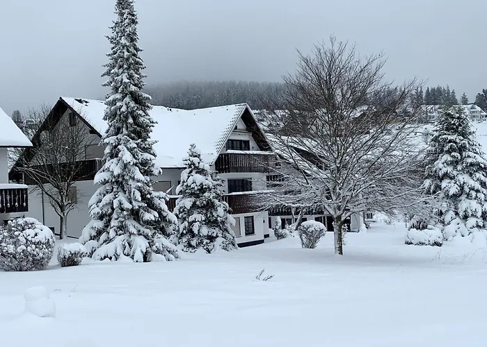 Bear Am Skihang Apartment