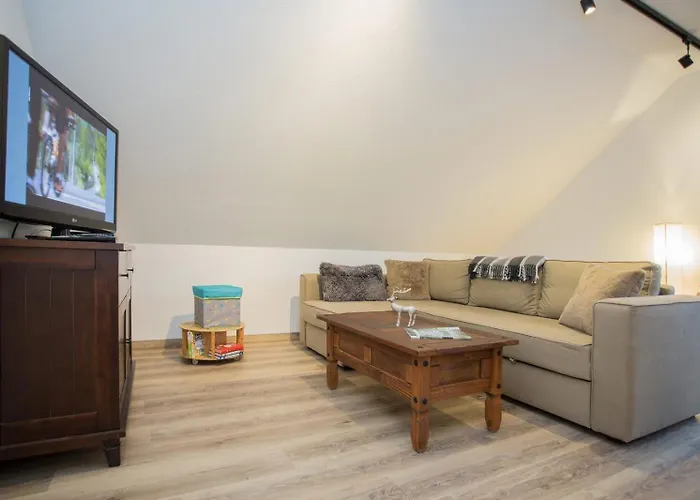 Bear Am Skihang Winterberg