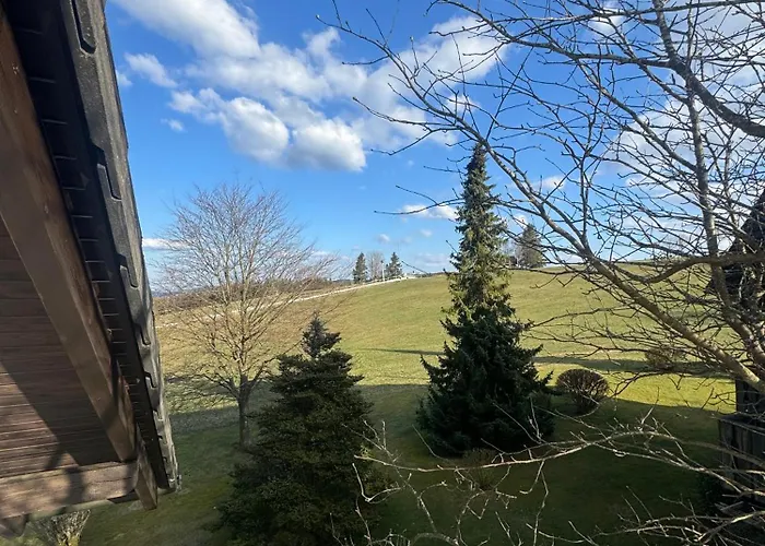 Bear Am Skihang Apartamento Winterberg